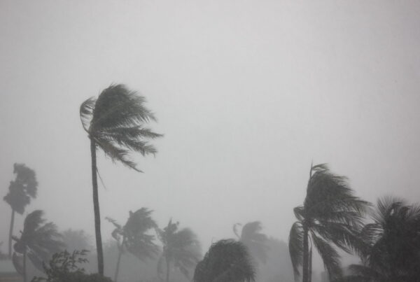 hurricane prep checklist for homeowners