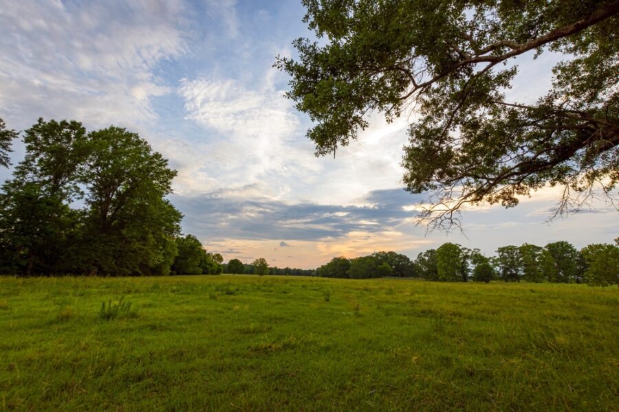 How To Buy Land in to Build a Custom Home