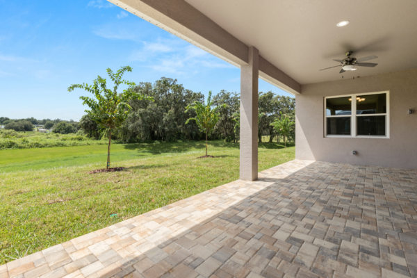 Custom Home Portfolio - Rear Patio