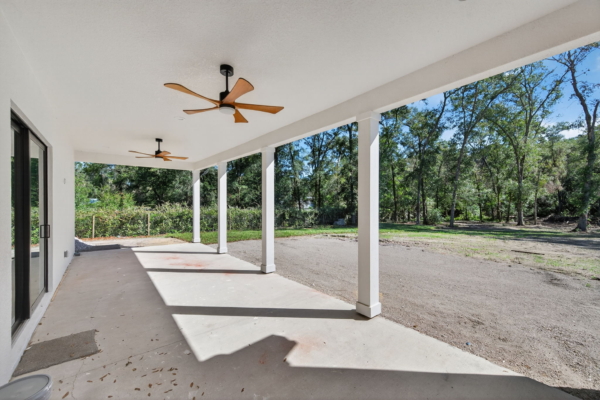 Modified Renee - Rear Exterior