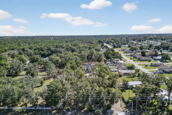 Modified Renee - Drone