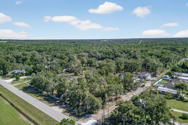 Modified Renee - Drone