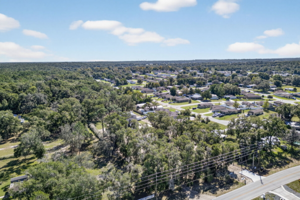 Modified Renee - Drone